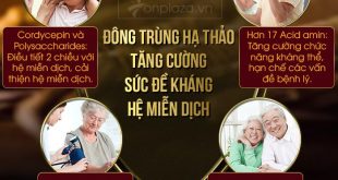 Đông trùng hạ thảo tăng cường sức đề kháng, hệ miễn dịch