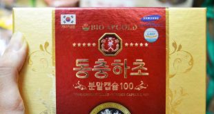 dtht-dong-choong-hacho-powder-capsule-100